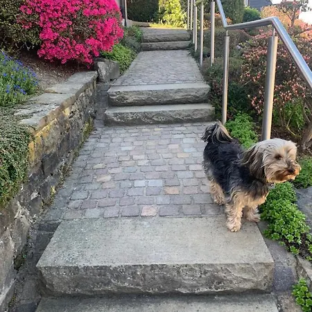 Apartamento Ferienwohnung Am Waldrand Mit Dachterrasse