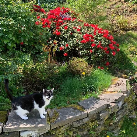 Apartamento Ferienwohnung Am Waldrand Mit Dachterrasse Wetter (Ruhr)