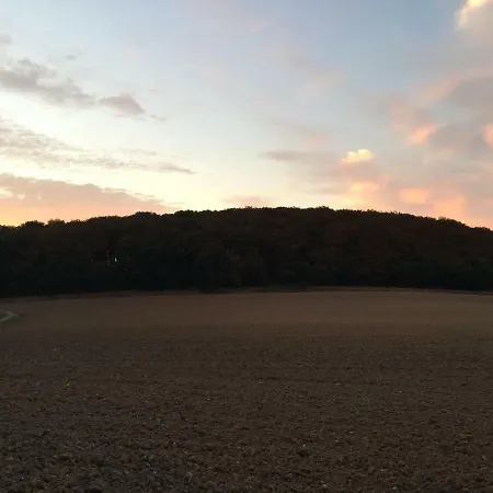 Ferienwohnung Am Waldrand Mit Dachterrasse
