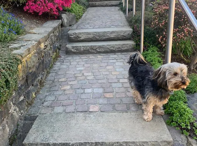 公寓 Ferienwohnung Am Waldrand Mit Dachterrasse