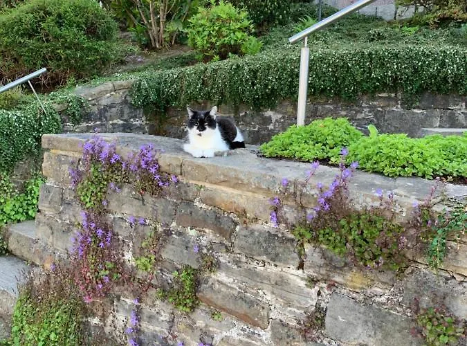 Apartamento Ferienwohnung Am Waldrand Mit Dachterrasse